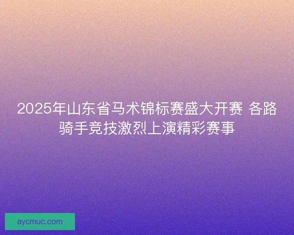 2025年山东省马术锦标赛盛大开赛 各路骑手竞技激烈上演精彩赛事