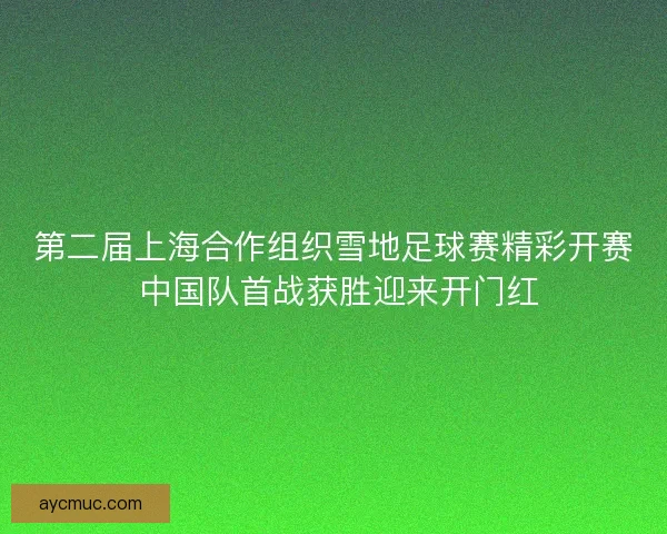 第二届上海合作组织雪地足球赛精彩开赛 中国队首战获胜迎来开门红